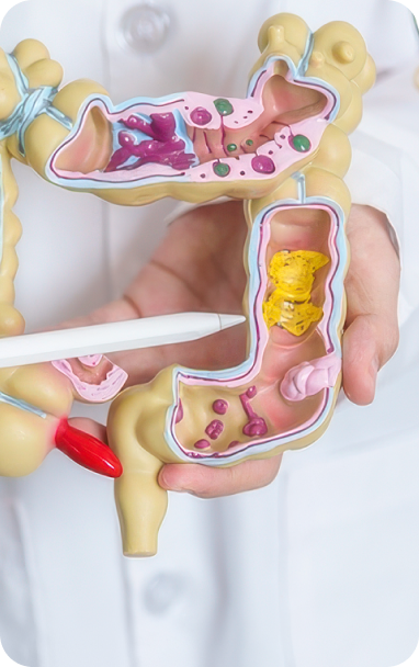 Bibiotic helps immuno care